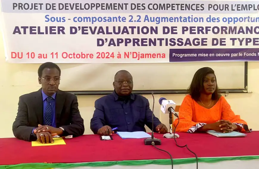 Tchad : le PDCEJ organise un atelier d'évaluation du Programme d'apprentissage dual avec le FONAP