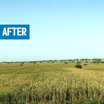 Lac Tchad : Réhabilitation de terres agricoles grâce à l'énergie solaire