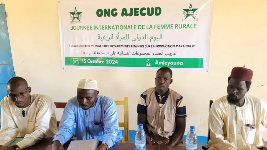 Tchad : au Ouaddaï, l'ONG AJECUD renforce les capacités des femmes rurales sur la production maraîchère