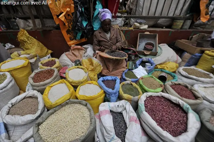 © AFP par SIMON MAINA Afrique : les prix des céréales vont augmenter à cause du changement climatique (rapport)