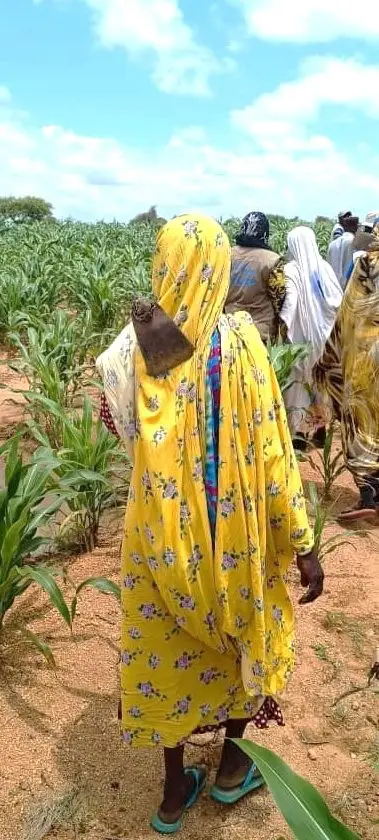 Tchad : Le PAM et le gouvernement coréen apportent une bouffée d'oxygène alimentaire au Ouaddai