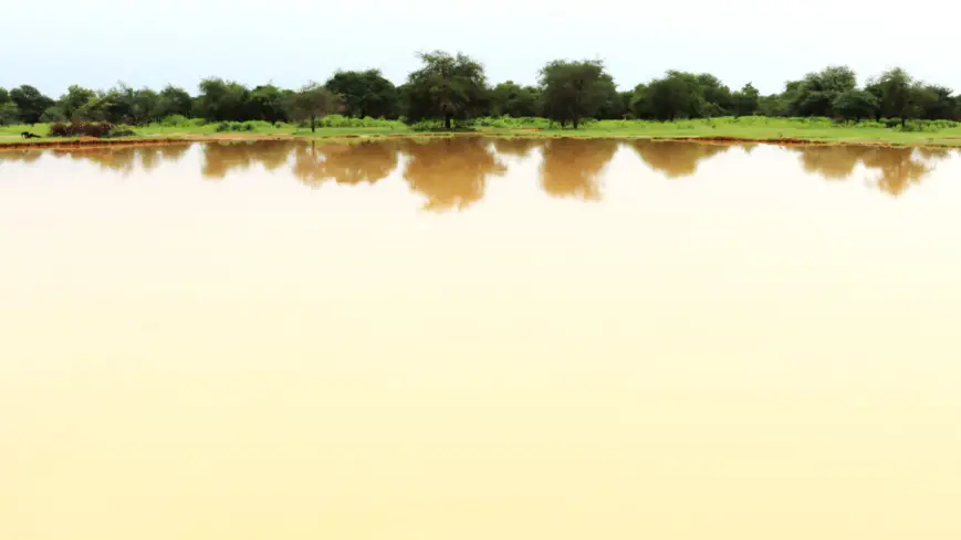 Tchad : Le PAM initie une solution novatrice pour résoudre les conflits agropastoraux