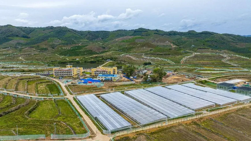 Photo shows a breeding field of the National Nanfan Research Institute of the Chinese Academy of Agricultural Sciences (CAAS) in Yazhou district, Sanya, south China's Hainan province. (Photo by Yuan Chen/People's Daily Online)