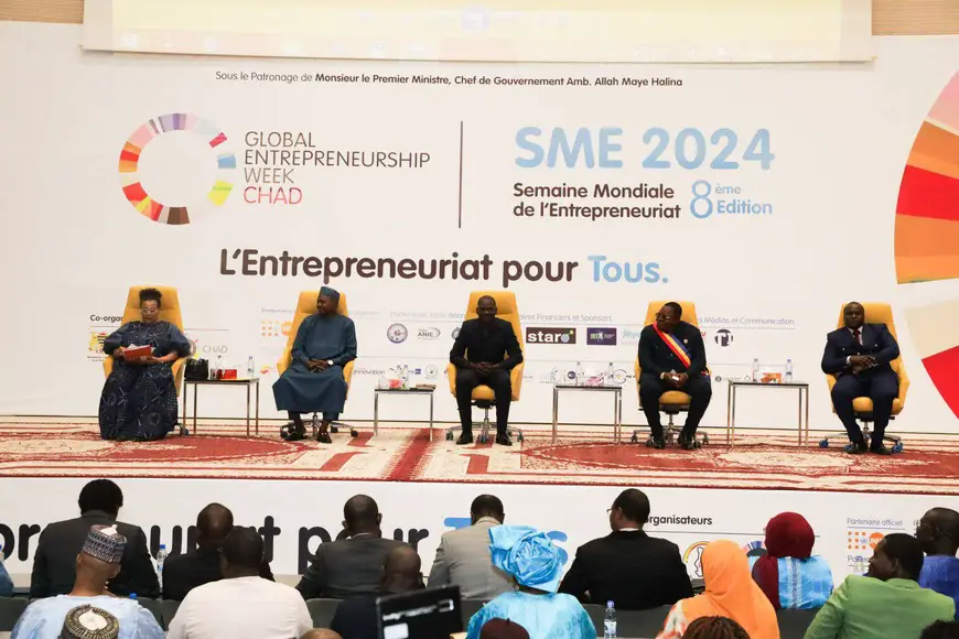 Tchad : Le Ministre Abakar Djermah Aumi appelle les jeunes  à l'entrepreneuriat