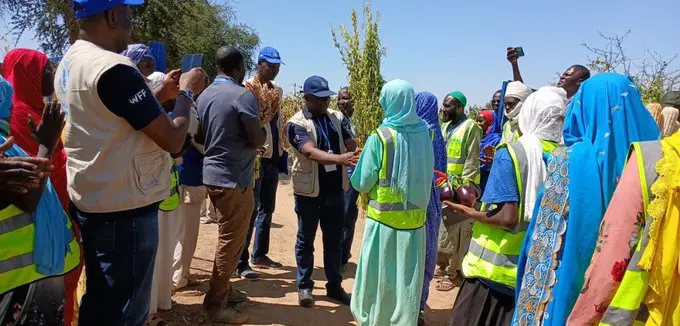 Tchad : Découvrez comment un agriculteur a épargné plus de 300 milles Frs en seulement 3 mois grâce à la vente de tomates et de piments