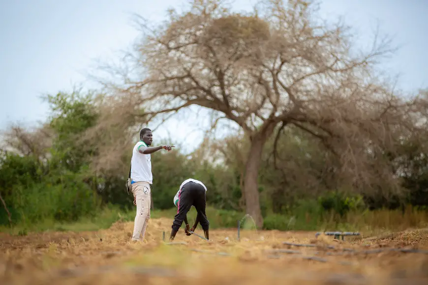 Sénégal : la BAD mobilise plus de 74 millions pour renforcer la promotion de l’entrepreneuriat des femmes et des jeunes