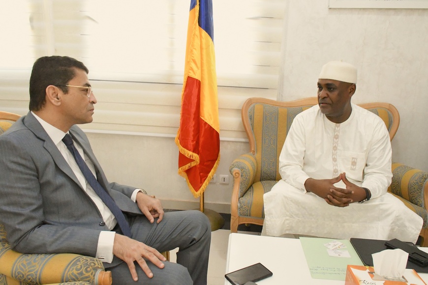 Tchad : Le ministre des Infrastructures et l'ambassadeur d'Égypte discutent de grands projets