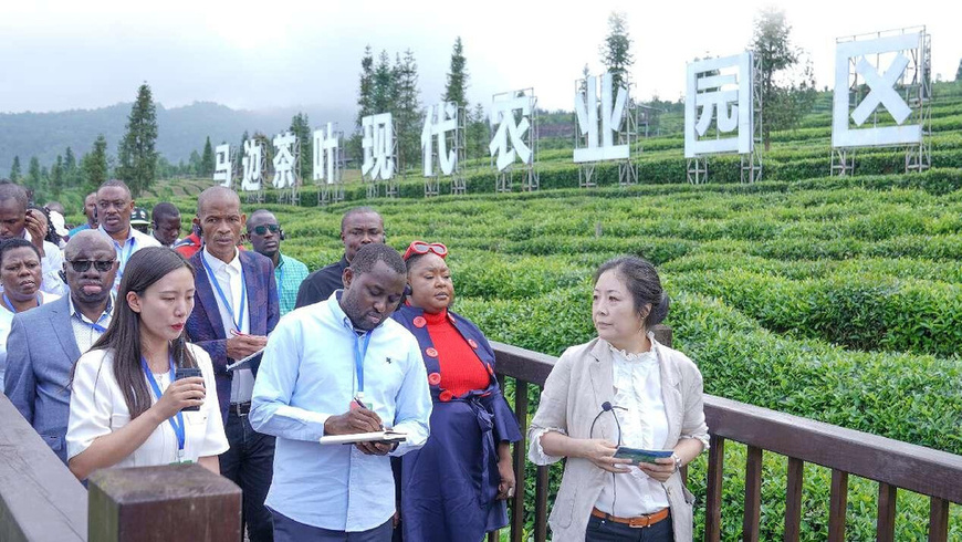 Photo shows African officials visiting a modern tea plantation in Leshan, southwest China's Sichuan province, during the first Seminar on Poverty Reduction and Development for African Officials held in May this year. (Photo by Song Haoxin/People's Daily)