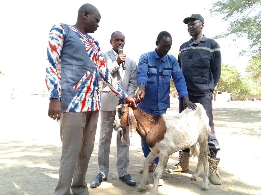 N'Djamena : La mairie du 9ᵉ arrondissement distribue des moutons aux leaders religieux