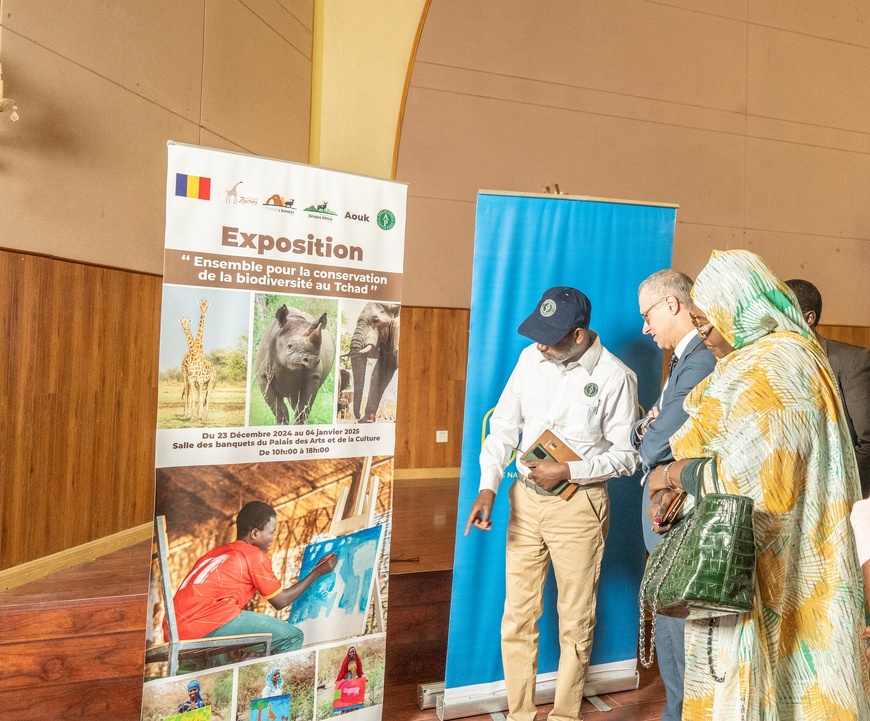 L'art au service de la nature : une exposition exceptionnelle pour préserver la biodiversité du Tchad