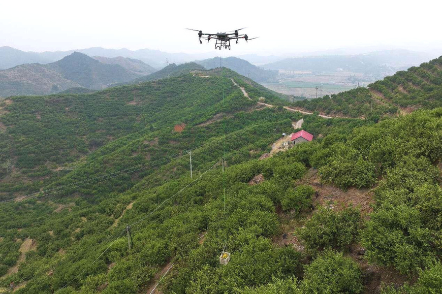 A drone transports oranges picked on the mountain in Nanzhang county, Xiangyang, central China's Hubei province, Oct. 13, 2024. (Photo by Yang Dong/People's Daily Online)