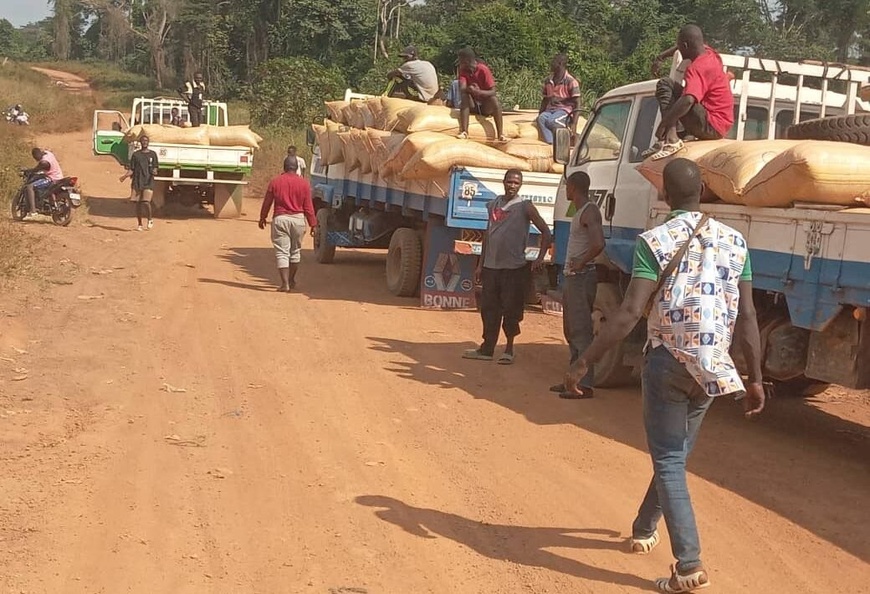 Côte d’Ivoire : l'opération « Verrou 322 » lutte contre la fuite des produits agricoles de rente