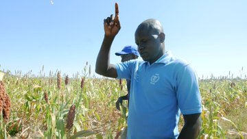 Tchad - 60 hectares de terres transformées : Le PAM change la donne à Sanour