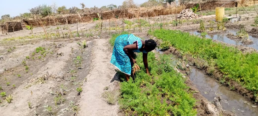 Tchad : une trentenaire se lance dans l’entrepreneuriat agricole