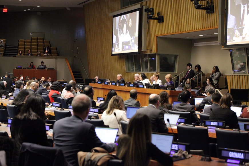 Les séances se tiennent dans le bâtiment de l'ONU. Photo : social.desa.un.org