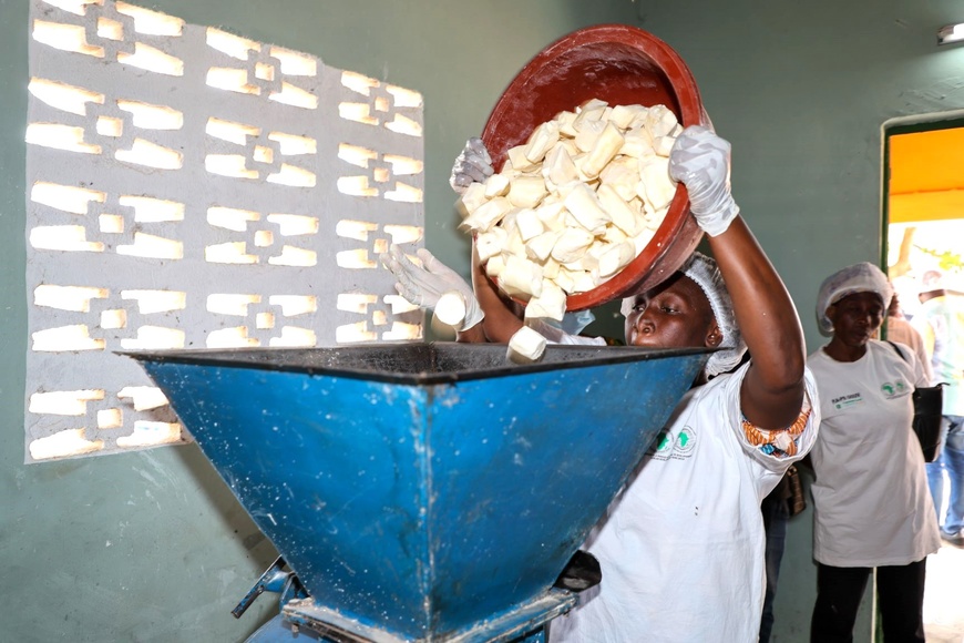 Côte d’Ivoire :  la BAD apprécie l’installation de l’unité de transformation de manioc de N’douci