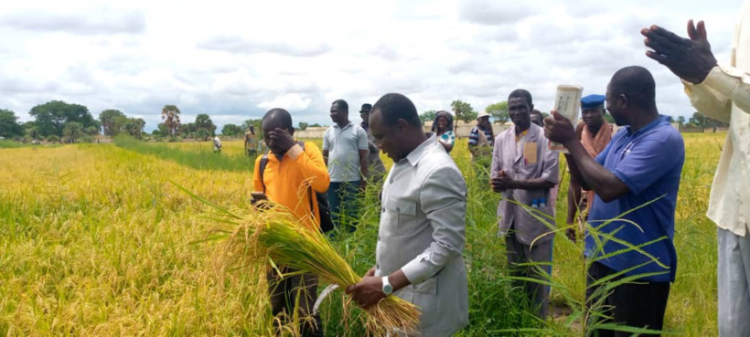 FIDIT 2025 : Le Tchad à la croisée des chemins pour un désenclavement durable