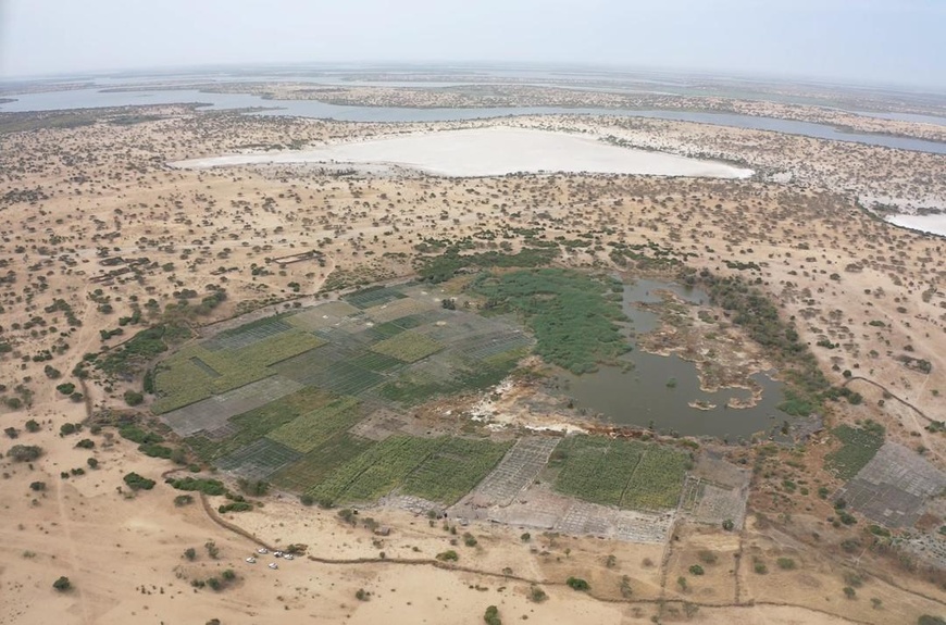 Haguina : un nouvel espoir pour les réfugiés et les communautés hôtes du Lac Tchad