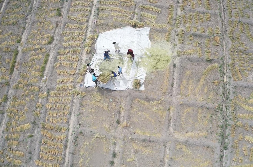 Haguina : un nouvel espoir pour les réfugiés et les communautés hôtes du Lac Tchad