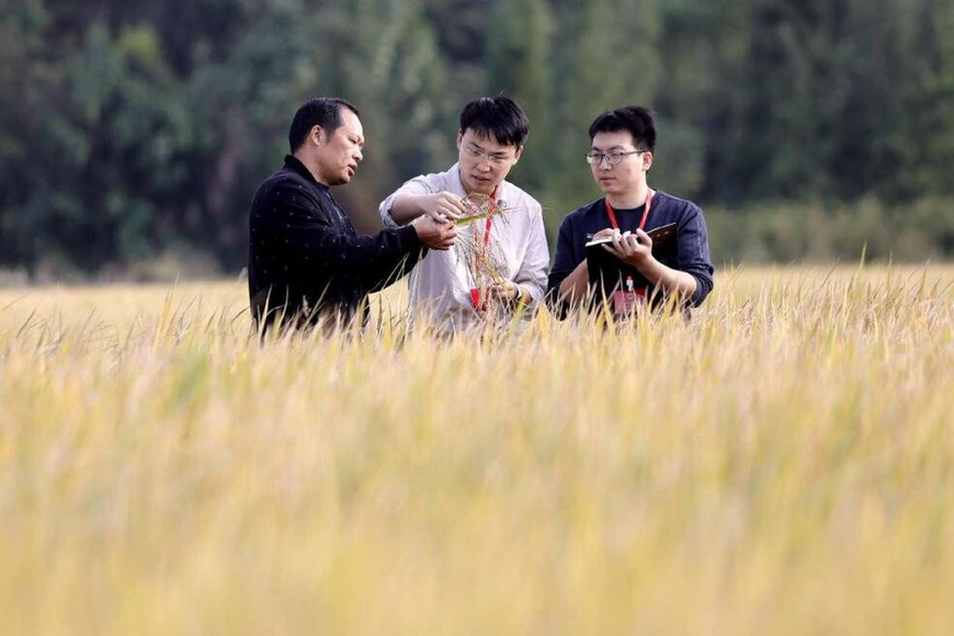 A local deputy gathers suggestions on farmland policy in Ji'an, east China's Jiangxi province, Oct. 25, 2024. (Photo by Chen Fuping/People's Daily Online)