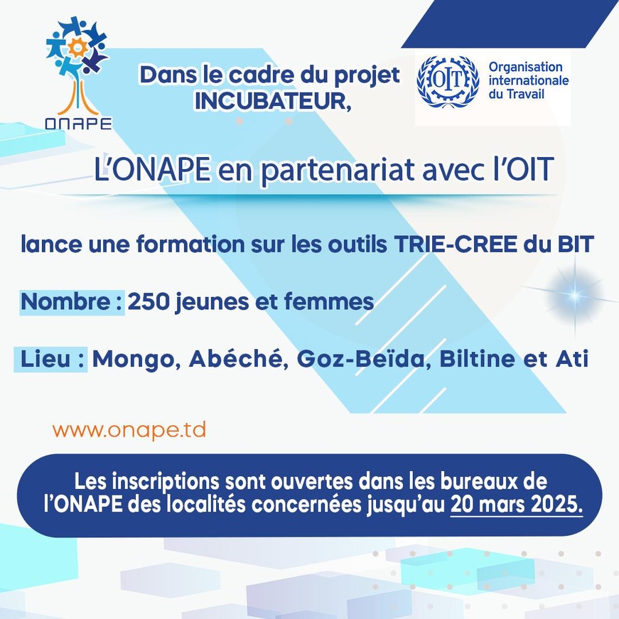 Opportunité de formation pour les jeunes entrepreneurs tchadiens