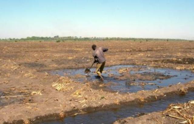 Lac Tchad. © Patrick Fort AFP/Archives