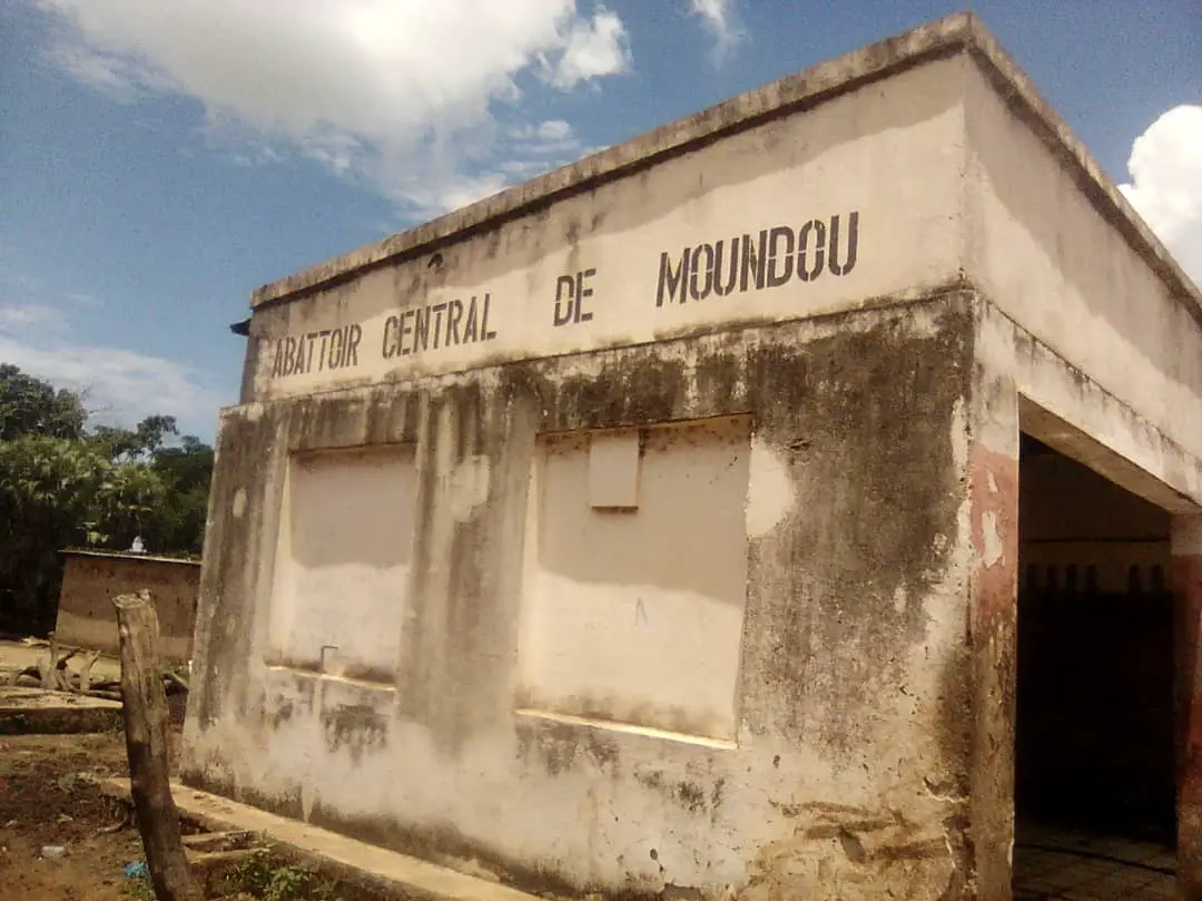 L'abattoir central de Moundou. Illustration. © Alwihda Info/G.A.