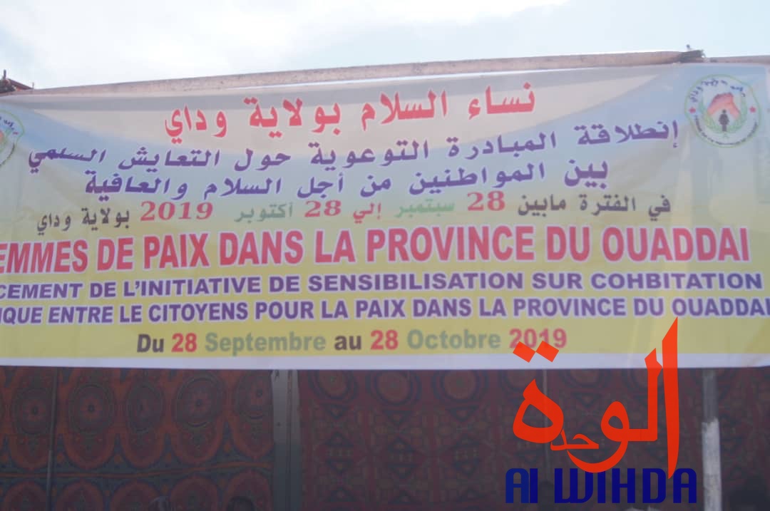 Tchad : à l'Est, les femmes de paix donnent des leçons de cohabitation