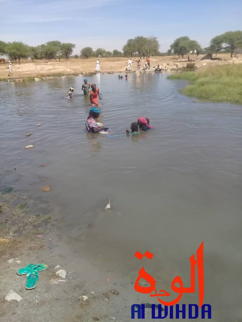 Tchad : éducation, cohabitation et tolérance, le fort plaidoyer du Sultan du Ouaddaï . © Alwihda Info