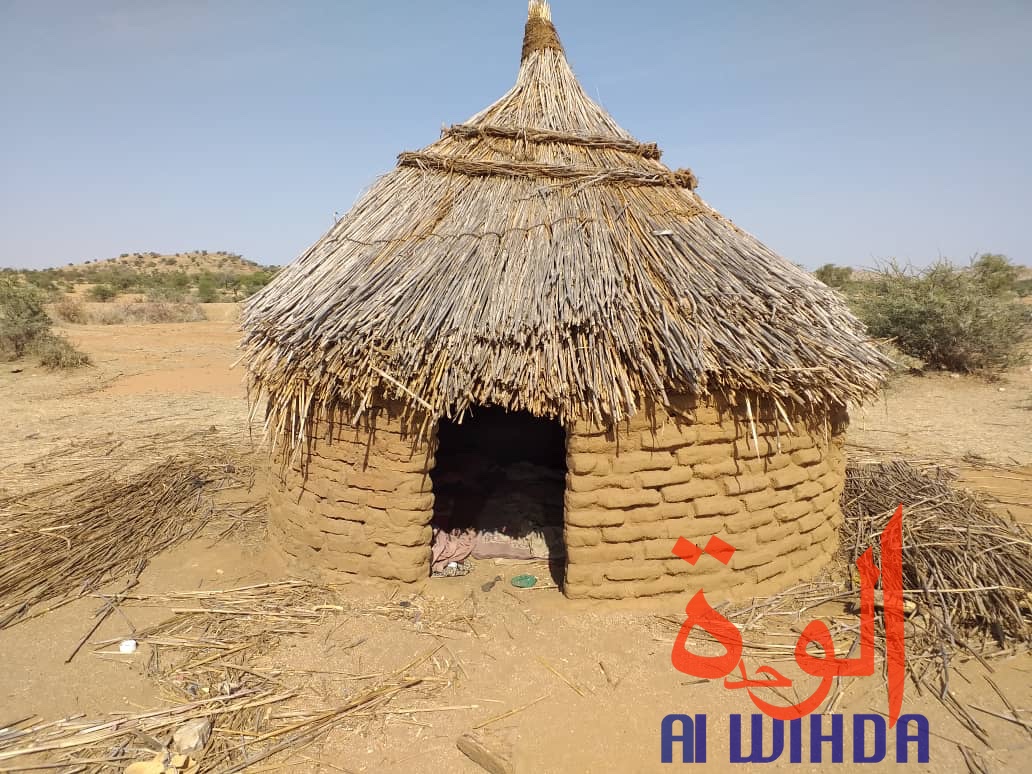 Tchad : libération d'enfants enchainés dans un centre d'apprentissage religieux. © Alwihda Info