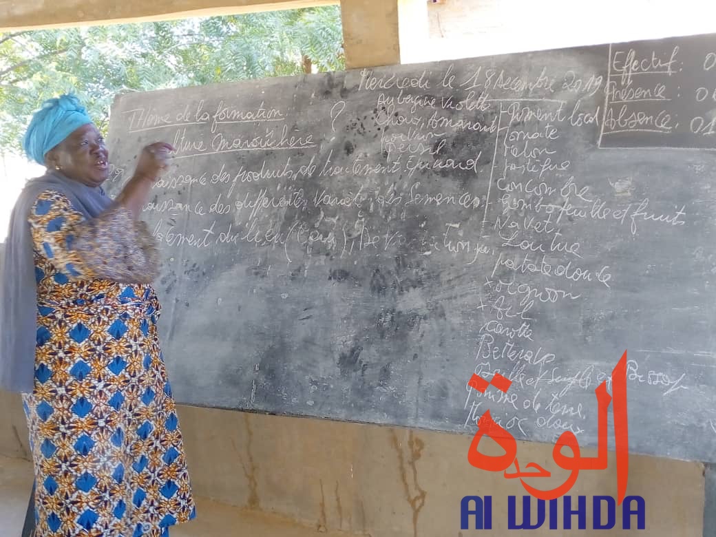 Tchad : 32 personnes formées en culture maraîchère à Goz Beida. © Alwihda Info