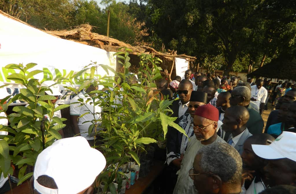 Tchad : coup de projecteur sur le Festival agrobusiness de Sarh. © DR