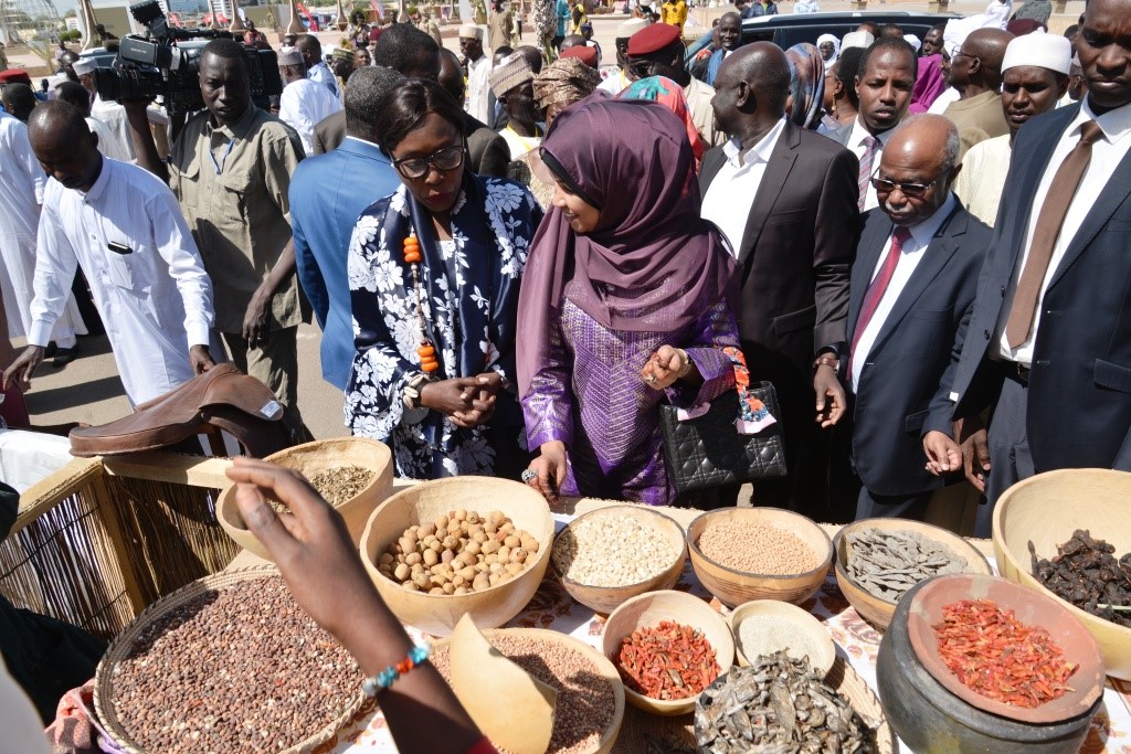 Tchad : le Festival Dary, un "événement majeur, un projet fédérateur de toutes les cultures". © PR