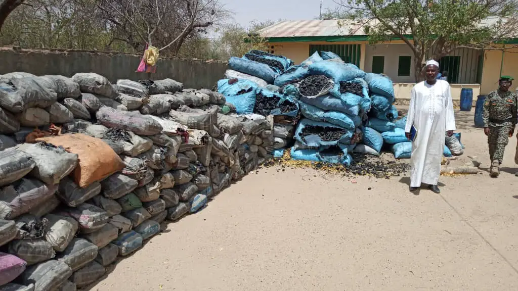 Tchad : 50 hectares de forêt détruits à Djourouf Al-Ahmar, des arrestations. © Kabouche