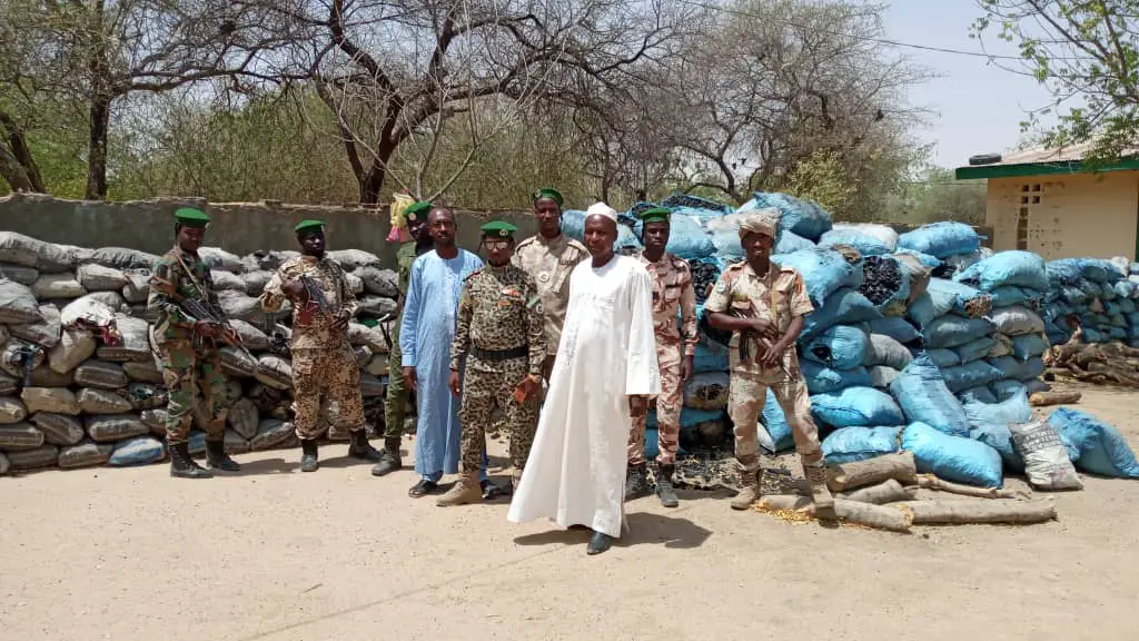 Tchad : 50 hectares de forêt détruits à Djourouf Al-Ahmar, des arrestations. © Kabouche