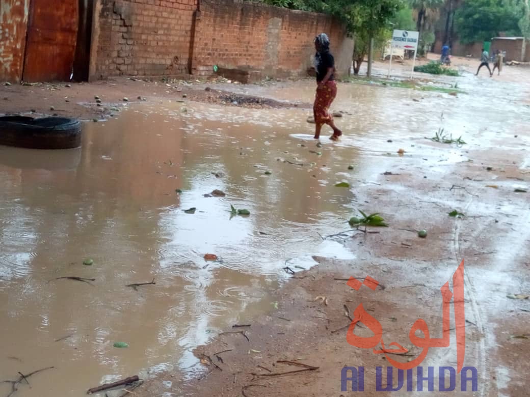 Tchad : des dégâts après une forte pluie et des vents violents à Moundou. © Golmen Ali/Alwihda Info