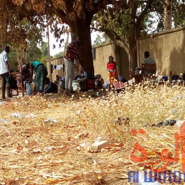 Tchad - Covid-19 : fin de confinement pour 603 personnes à l'école de Koutéré . © Golmen Ali/Alwihda Info