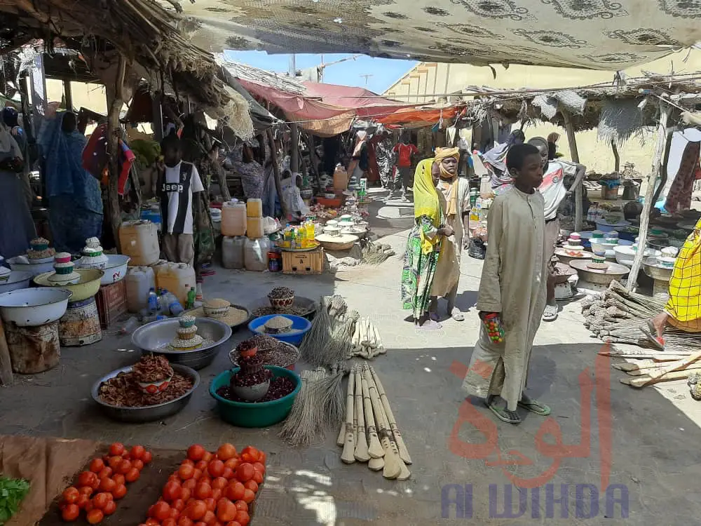 Tchad - Covid-19 : à Biltine, une troupe théâtrale au devant de la sensibilisation