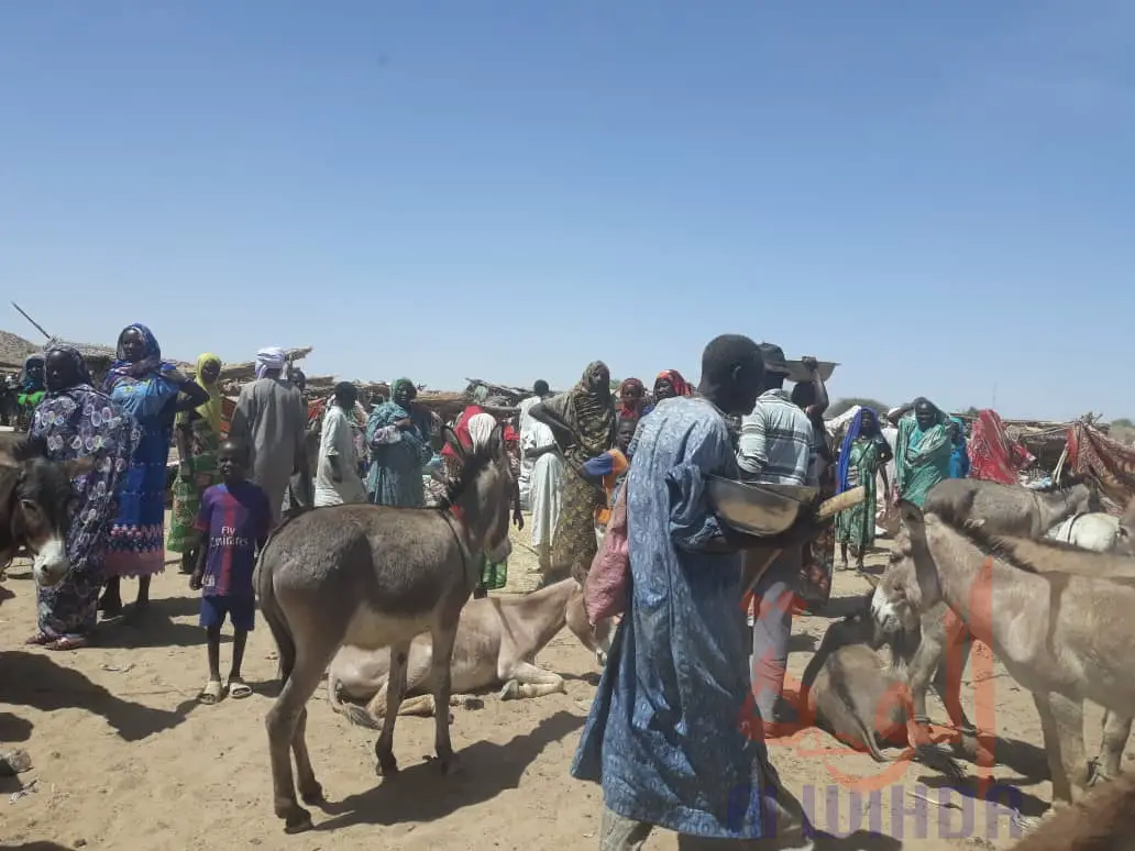 Tchad - Covid-19 : la sensibilisation s'étend au monde rural