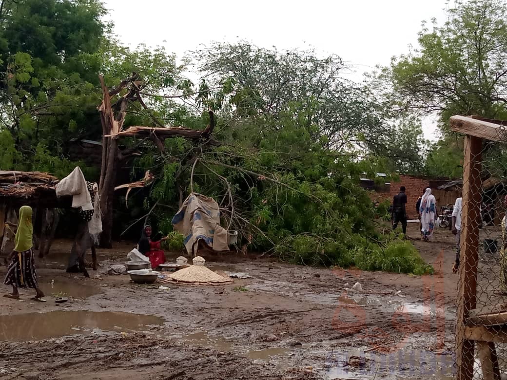 Tchad : première grosse pluie dans la sous-préfecture de Karal 