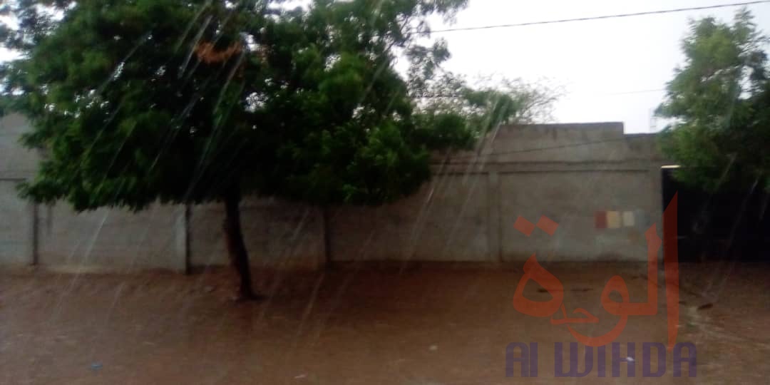 Tchad : une forte pluie et du vent à N'Djamena