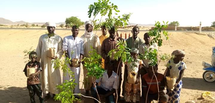 Tchad : à Batouma, près d'Abéché, une opération de reboisement dans un village.