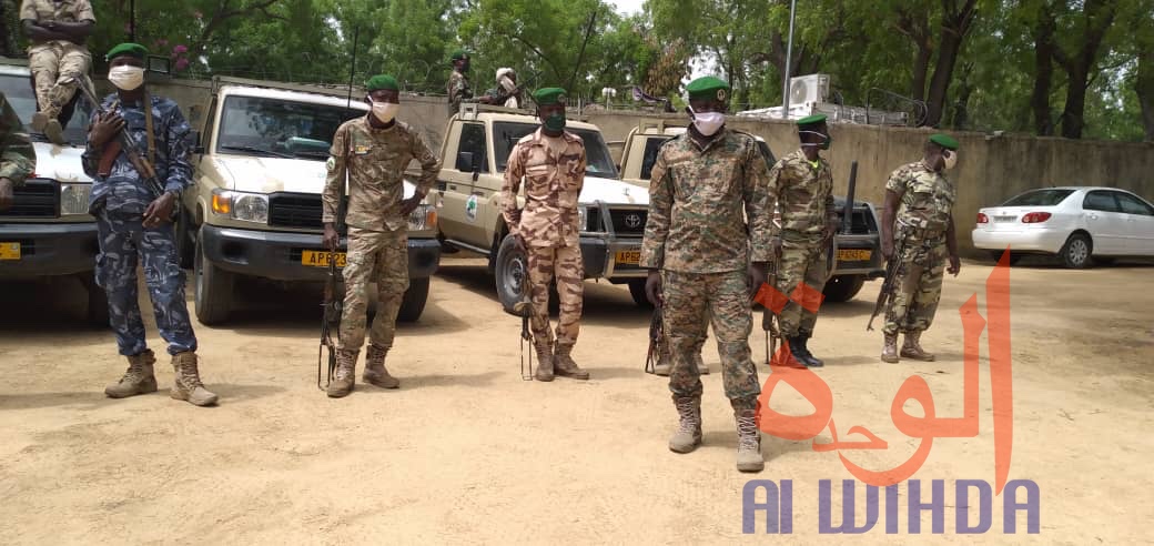 Tchad : trafic d'ivoire, la Garde forestière et faunique arrête plusieurs individus 