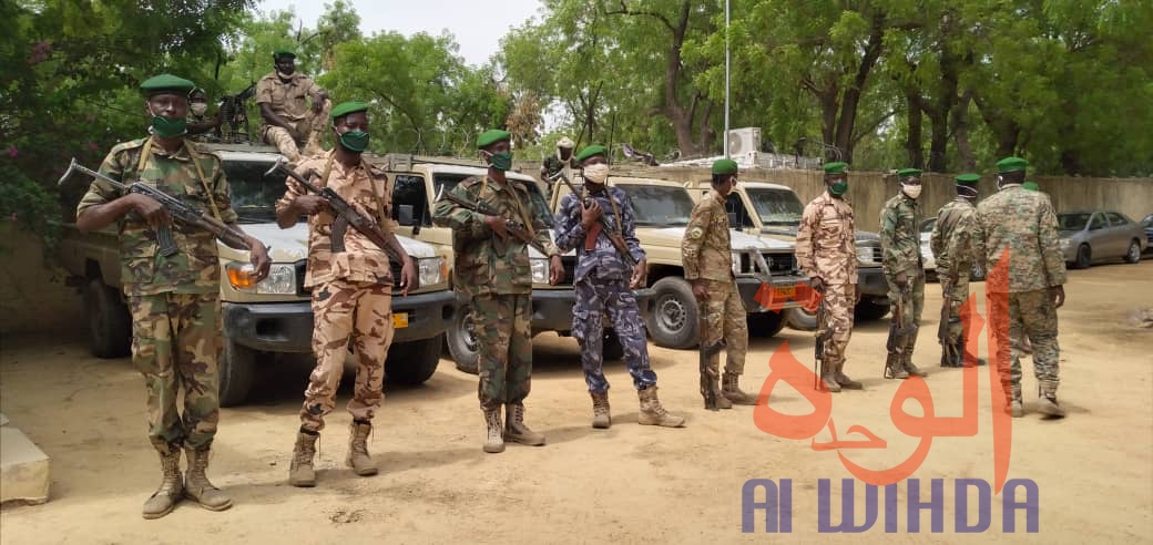 Tchad : trafic d'ivoire, la Garde forestière et faunique arrête plusieurs individus 