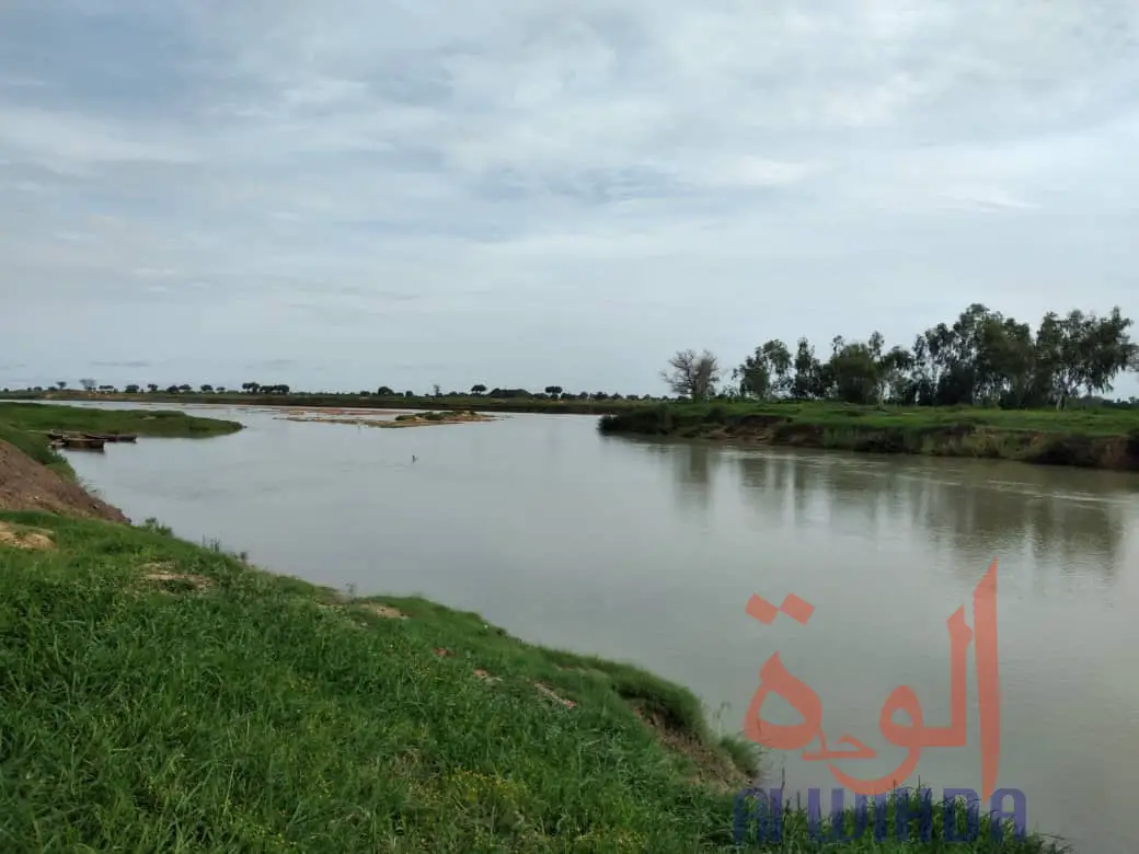 Les rives du fleuve Chari à Mandjafa, dans le 7ème arrondissement de N'Djamena, le 14 juillet 2020. © Malick Mahamat/Alwihda Info