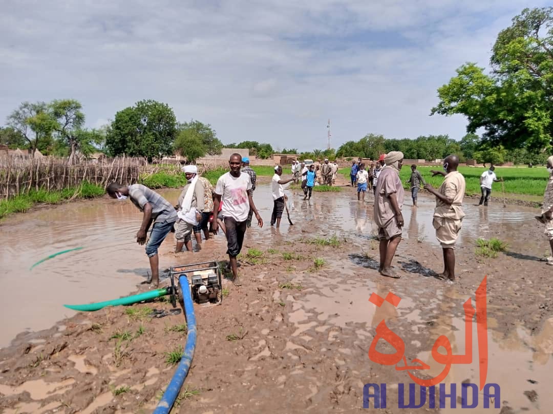 Tchad : au Sila, la population se mobilise pour aménager une route