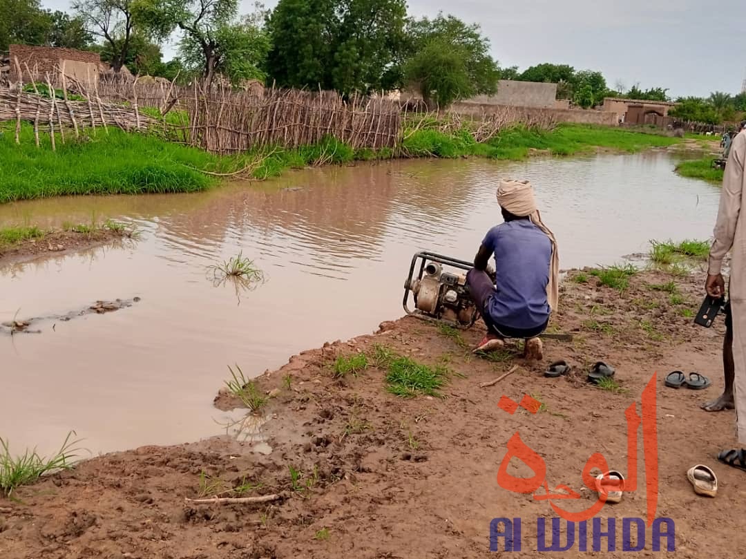 Tchad : au Sila, la population se mobilise pour aménager une route