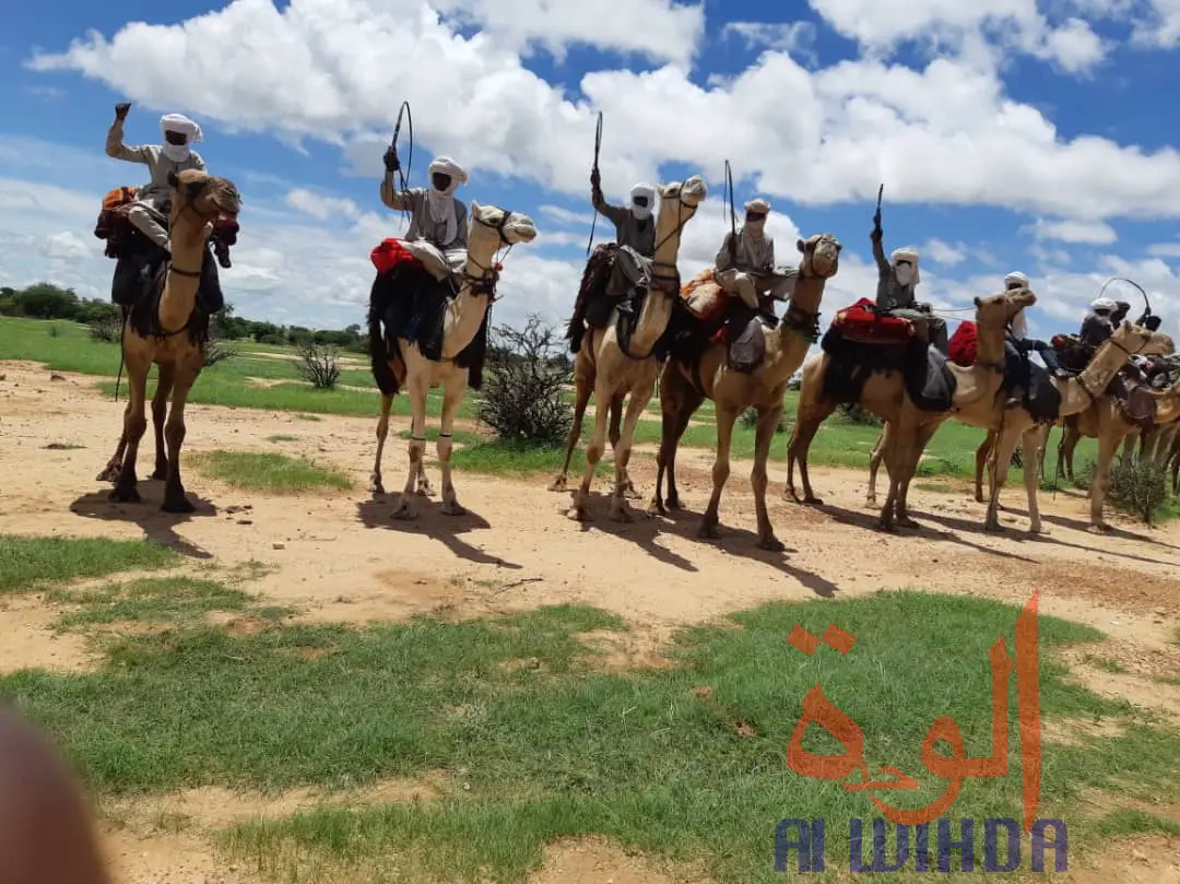 Tchad : le sultan du Ouaddaï rencontre des éleveurs et prône la cohabitation