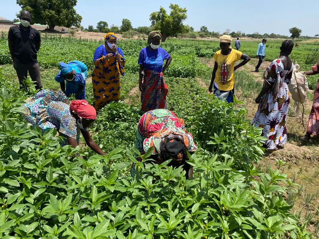 Entrepreneuriat : Fatimé Souckar va représenter le Tchad au sommet mondial de l'industrie au féminin