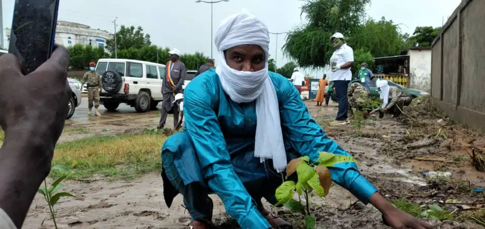 Tchad : la Semaine nationale de l'arbre lancée par le gouvernement. © Malick Mahamat/Alwihda Info